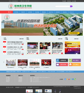 蚌埠网络公司网站案例-卫生学校